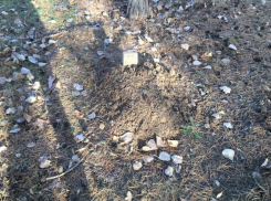 Парень «похоронил» 16-летнюю знакомую в скотомогильнике