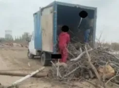 Волжане продолжают создавать свалки 