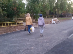 В Волжском появится адаптированная аллея для маломобильных групп граждан