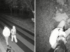 В Волжском молодая пара разнообразила прогулку по парку вандализмом: видео