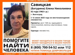 Волжан просят присоединиться к поискам без вести пропавшей