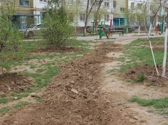 В Волжском озеленили 15 дворов
