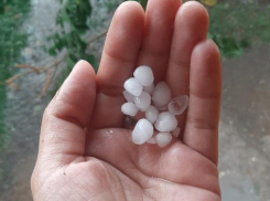 «Свалил деревья»: в середине июля в Быковском районе прошел град