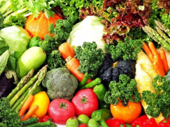 В регионе завершили уборку овощных культур