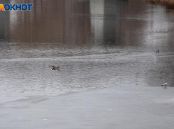 До +8 градусов днем: погода в Волжском