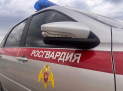 Кража и пьяный скандал: Росгвардия пресекла нарушения в Волжском