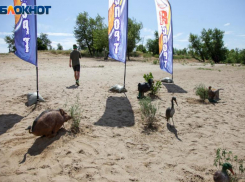 Утром во вторник Волжский накроет магнитная буря: прогноз погоды