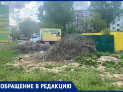 «Надоел этот свинарник»: в Волжских дворах не вывозят сухостой 