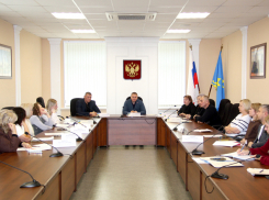 Мероприятия против абортов и прокат детских вещей для малоимущих: в Волжском депутаты обсудили социальные проекты