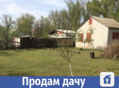 Для волжан продается дом с плодоносящим садом