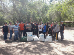 Школьники из Волжского следили за птицами  в парке «Цимлянские пески»