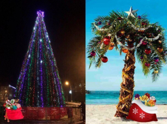 Волжане подумали о том, под каким деревом встречать Новый год лучше