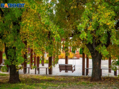 В Волжском появится новая зеленая территория и не только