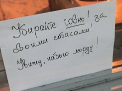 «Убирайте говно! Увижу - набью морду!»: волжане жалуются на экскременты собак во дворах