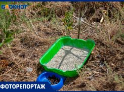 Что делать с трупом домашнего любимца, чтобы не нарушить закон: фоторепортаж с кладбища для животных