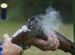 Ссора в области закончилась стрельбой