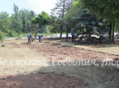 В парке Волжском будут играть в петанк 