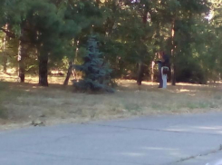 Тело молодого мужчины обнаружили в сквере в новой части Волжского 