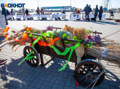 Сильный ветер ждет волжан в воскресенье: прогноз погоды