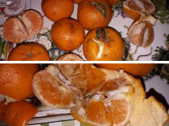 Продавец подсунула капусту с личинками и гнилые мандарины, - волжанка