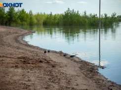 Радиационную обстановку оценили в Волгоградской области