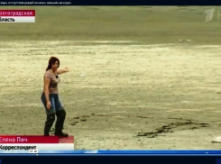 О сильнейшей засухе в Волго-Ахтубинской пойме рассказали на Первом канале