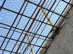 В Волгоградской области заблокировали сайт об изготовлении алкоголя в местах лишения свободы