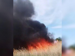 В Волжском у СНТ «Изобилие» вспыхнул пожар