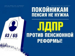 В Волжском ЛДПР выступила против пенсионной реформы под лозунгом «Покойникам пенсия не нужна»