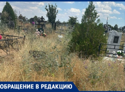 «Неужели память о наших близких никому не нужна?»: волжанка пожаловалась на состояние кладбища