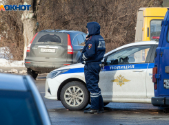  Волжанка, двигаясь задним ходом совершила наезд на пешехода