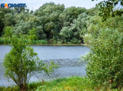 В Среднеахтубинском лесничестве под посадку новых деревьев готовят 30 га земли