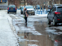В день насекомых в Волжском будет холодно и мокро