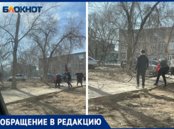 Сухое дерево едва не убило детей у одной из школ Волжского