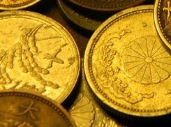 Предприимчивые южные гости под видом антикварных монет подсунули волжанину копеечные копии 