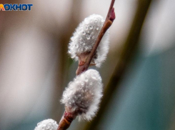 Солнце не порадует жителей Волжского в воскресенье