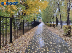 Во сколько начнется и закончится дождь в субботу: точный прогноз погоды в Волжском