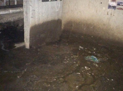 Коммунальщики устроили выгребную яму в подвале жилого дома в Волжском