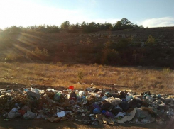 Владельца участка в Среднеахтубинском районе оштрафовали на 10 тысяч