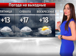 Дождливый май: волжан ожидают пасмурные выходные