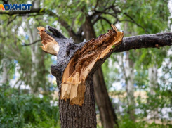 День Трофима Бессонника: тайны народных примет, традиций и запретов