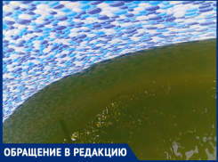 «Отравленная вода и бездействие правления» : жительница СНТ „Цветущий Сад“ в Волжском  бьёт тревогу