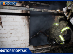 Официальные подробности пожара на острове Зеленый: фоторепортаж с места происшествия