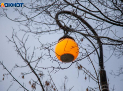 В Волжском и поселке Погромное временно отключат электричество