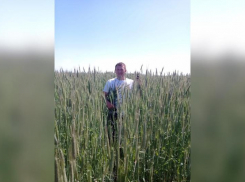 «За» инициативу с казино и публичными домами проголосовали жители Волжского