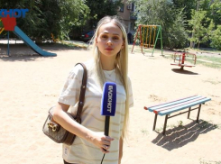 Тараканий рай обнаружили в Волжском: район, где насекомые выживают людей