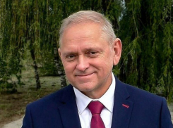 Президент представил к ордену главу Волжского