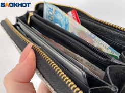 Близ Волжского мужчина похитил социальные выплаты у своей знакомой