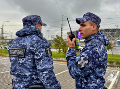 Серия задержаний в Волжском: Росгвардия пресекла кражи и драку в торговых сетях
