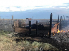 Курящая волжанка устроила пожар на ферме